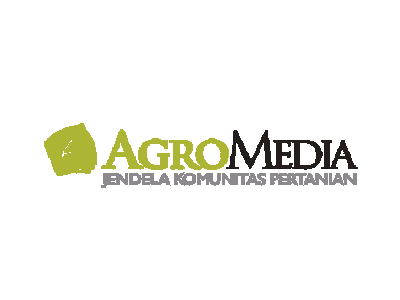 Client Argo media